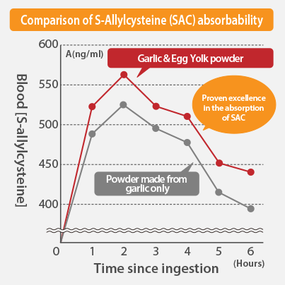 omparison of S-Allylcysteine (SAC) absorbability